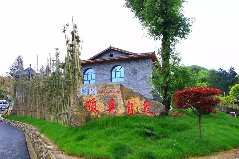 公司环境